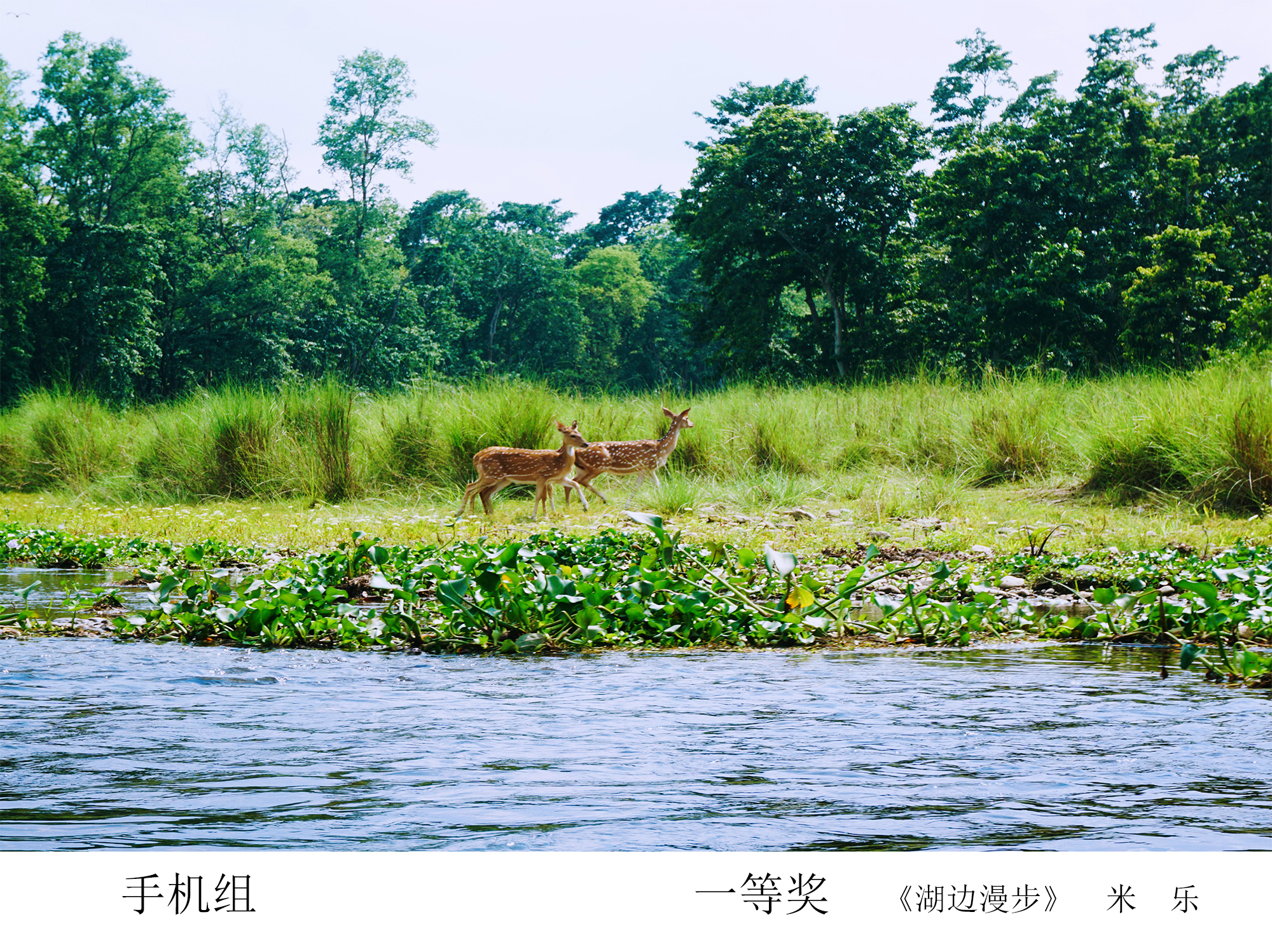 PG电子·仿照器(试玩游戏)官方网站
